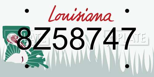 8Z58747 Louisiana License Plate