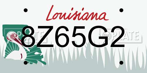 8Z65G2 Louisiana License Plate