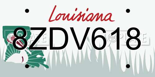 8ZDV618 Louisiana License Plate