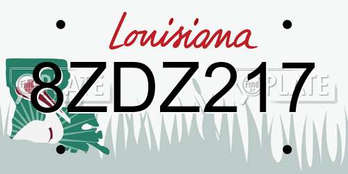 8ZDZ217 Louisiana License Plate