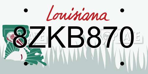 8ZKB870 Louisiana License Plate