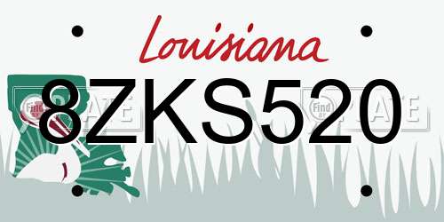 8ZKS520 Louisiana License Plate