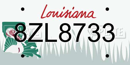 8ZL8733 Louisiana License Plate