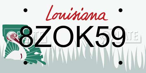 8ZOK59 Louisiana License Plate