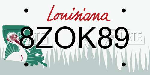 8ZOK89 Louisiana License Plate
