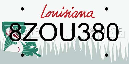 8ZOU380 Louisiana License Plate