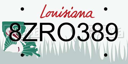 8ZRO389 Louisiana License Plate
