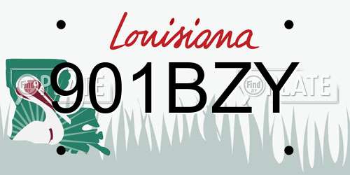 901BZY Louisiana License Plate