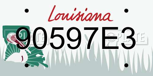 90597E3 Louisiana License Plate
