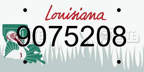 9075208 Louisiana License Plate