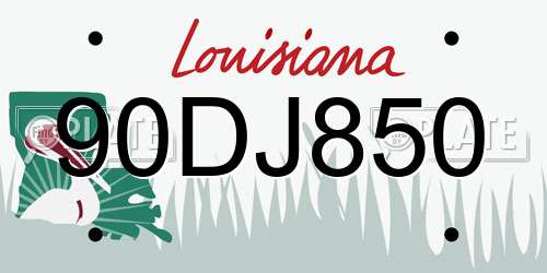 90DJ850 Louisiana License Plate