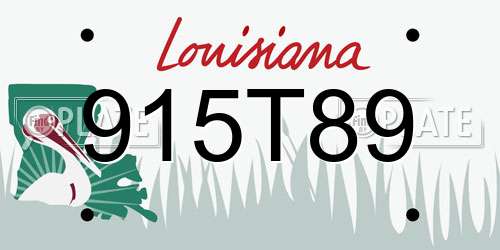 915T89 Louisiana License Plate