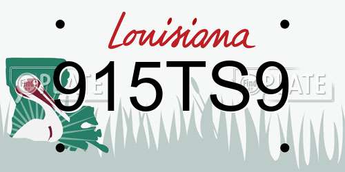 915TS9 Louisiana License Plate