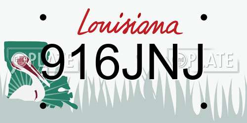 916JNJ Louisiana License Plate