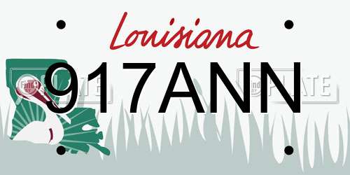917ANN Louisiana License Plate