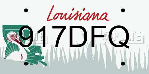 917DFQ Louisiana License Plate