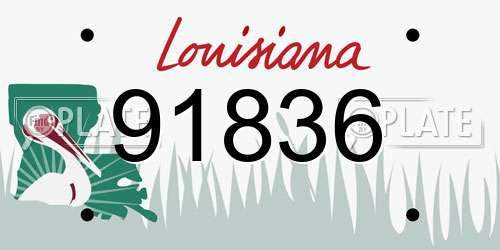 91836 Louisiana License Plate