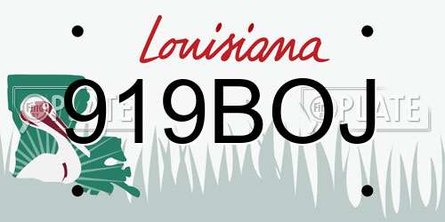 919BOJ Louisiana License Plate