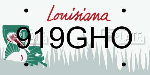 919GHO Louisiana License Plate