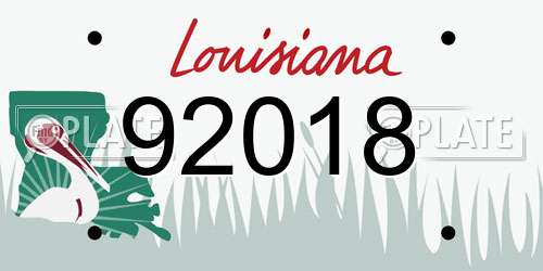 92018 Louisiana License Plate
