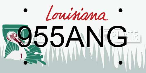 955ANG Louisiana License Plate