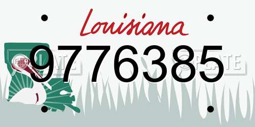 9776385 Louisiana License Plate