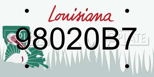 98020B7 Louisiana License Plate