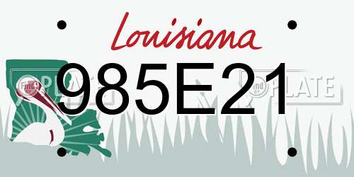 985E21 Louisiana License Plate