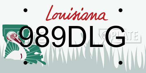 989DLG Louisiana License Plate