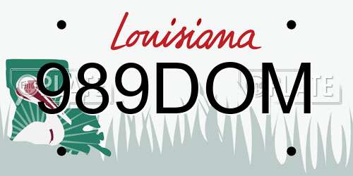 989DOM Louisiana License Plate