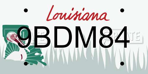 9BDM84 Louisiana License Plate