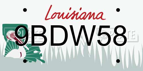9BDW58 Louisiana License Plate