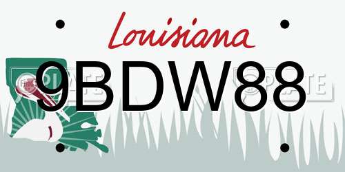 9BDW88 Louisiana License Plate