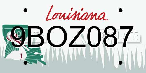 9BOZ087 Louisiana License Plate