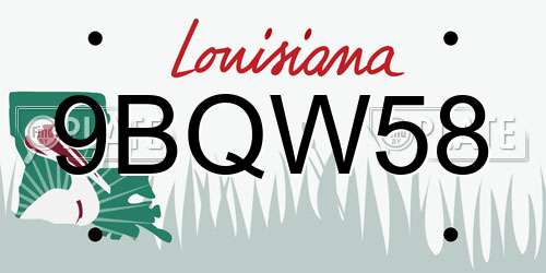 9BQW58 Louisiana License Plate