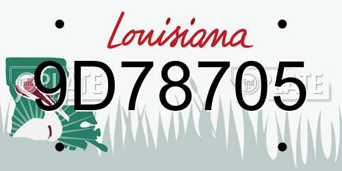 9D78705 Louisiana License Plate
