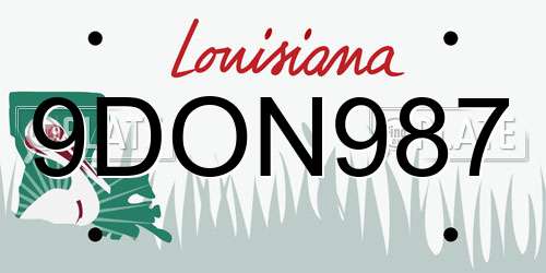 9DON987 Louisiana License Plate