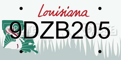 9DZB205 Louisiana License Plate