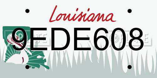 9EDE608 Louisiana License Plate