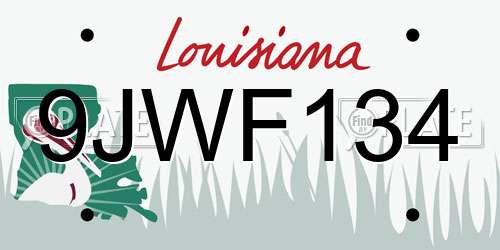 9JWF134 Louisiana License Plate
