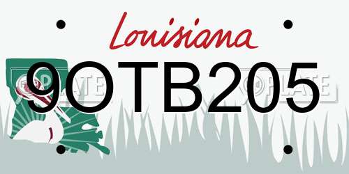 9OTB205 Louisiana License Plate