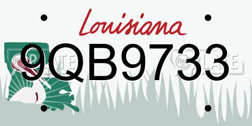 9QB9733 Louisiana License Plate