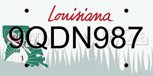 9QDN987 Louisiana License Plate