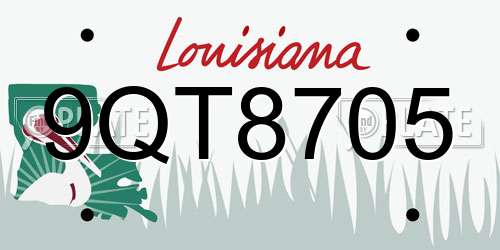 9QT8705 Louisiana License Plate