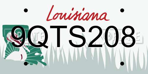 9QTS208 Louisiana License Plate
