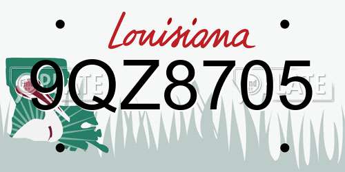 9QZ8705 Louisiana License Plate