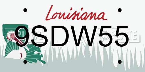 9SDW55 Louisiana License Plate