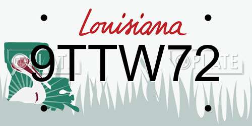 9TTW72 Louisiana License Plate