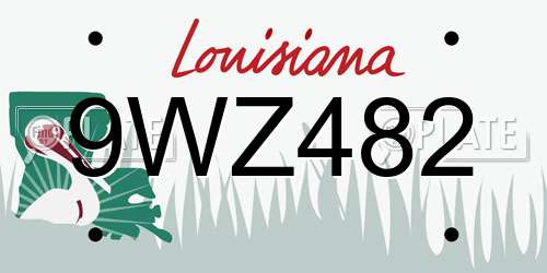 9WZ482 Louisiana License Plate