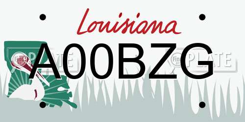 A00BZG Louisiana License Plate